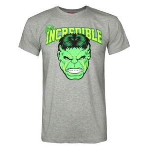 Hulk Mens Incredible Logo T-Shirt / Gray